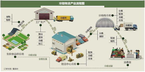 農產品冷鏈物流建設加速，技術賦能保障食品安全與供應鏈效率